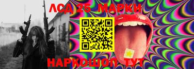 ECSTASY Новодвинск