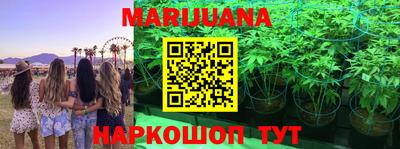 твердый Новозыбков