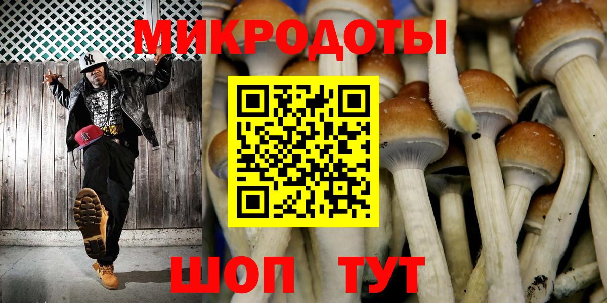 Псилоцибиновые грибы прущие грибы  Псилоцибиновые грибы MAGIC MUSHROOMS  Вход с VPN  Черногорск 